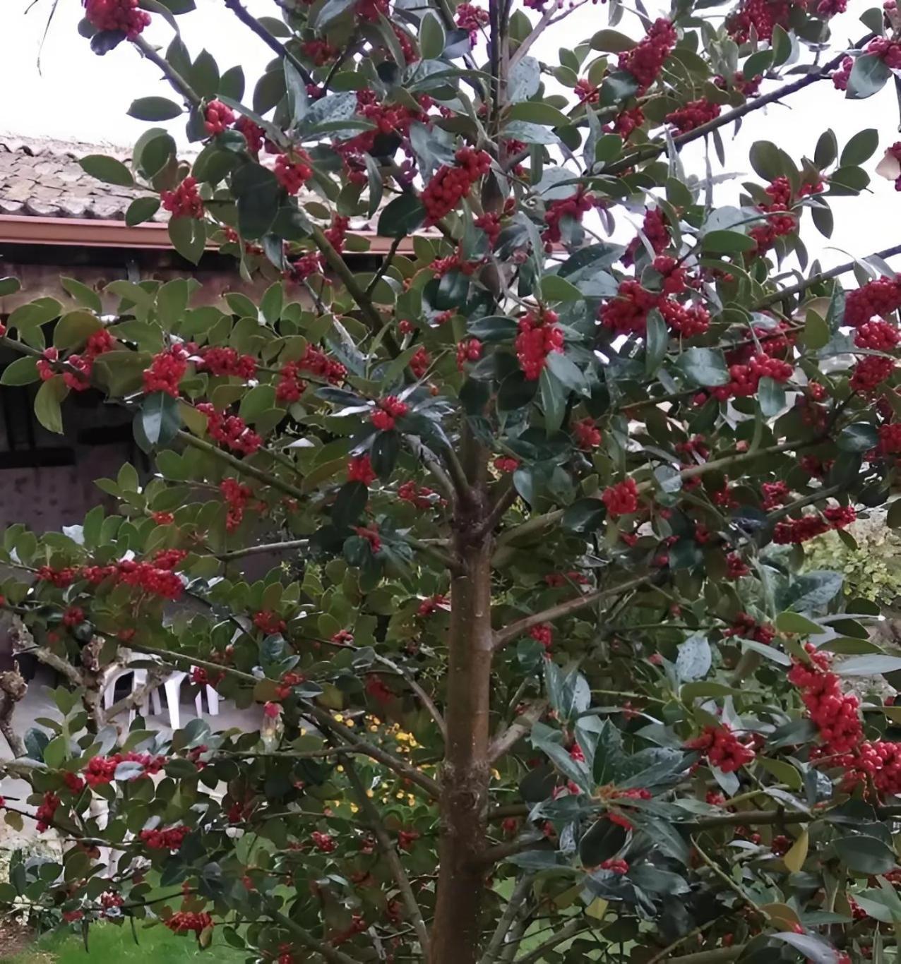 Casa Rural El Fresno Del Abuelo La Cuesta  외부 사진